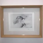C’est L’app’art! Centre Appartement Pau