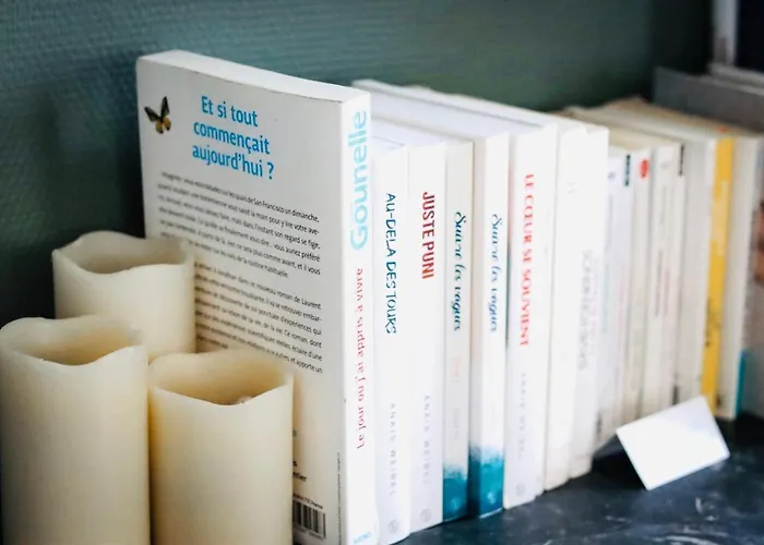 C'est L'app'art! Centre * Pau